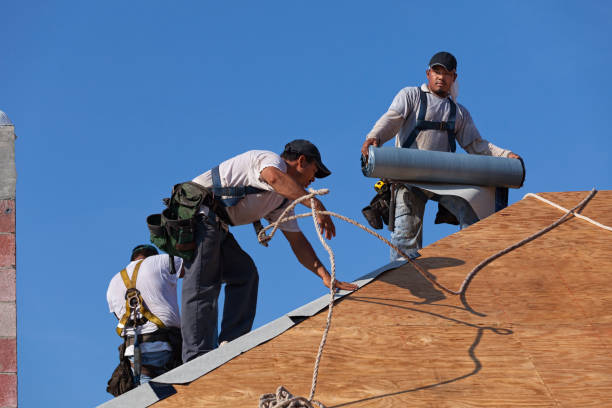 Best Commercial Roofing Services  in Wayne Heights, PA